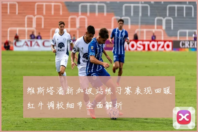 维斯塔潘新加坡站练习赛表现回暖红牛调校细节全面解析